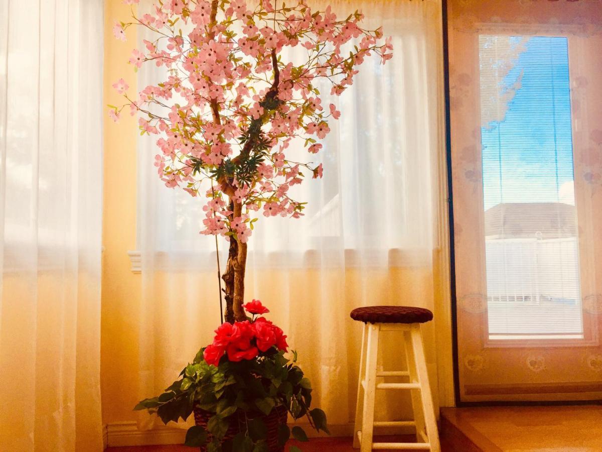 Good Location Apartment Surrey Luaran gambar